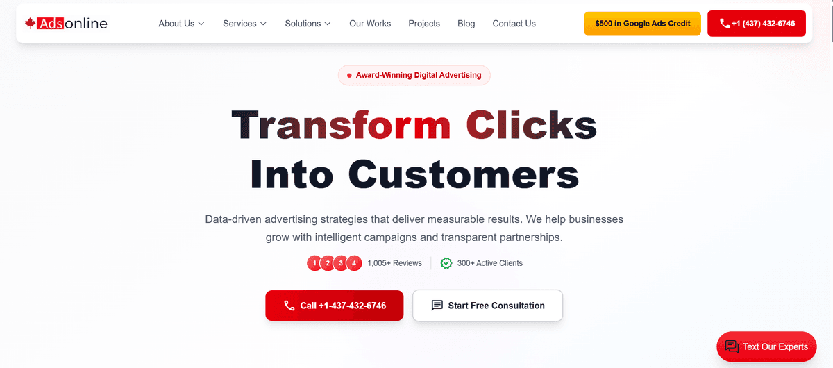 AdsOnline - Digital Marketing Agency