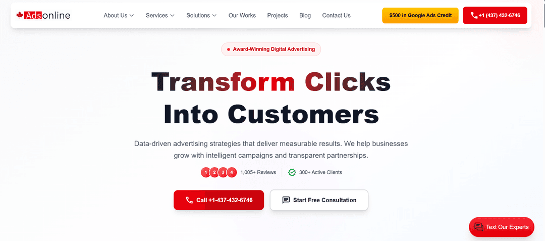 AdsOnline - Digital Advertising Agency